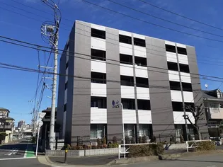 グレイスフルの画像