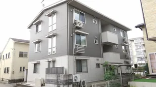 ルピナスの画像