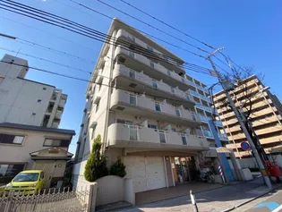 サングローリーの画像