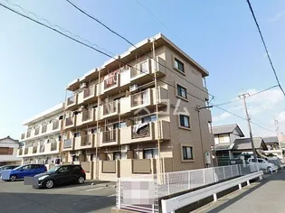 FREEDOMの画像