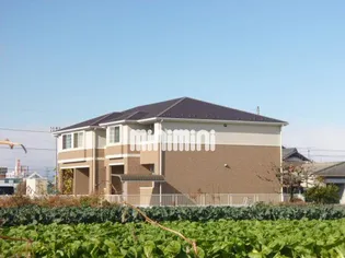 サンコート ブロッコリーの画像