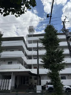 深沢ビューグリーン【3階】の外観