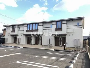 オレガノの画像