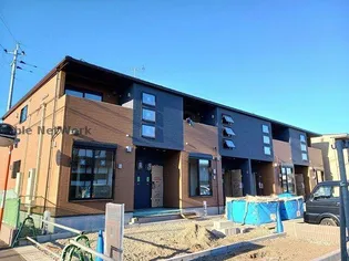 プリムラ Iの画像