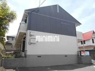 セントポーリアの画像