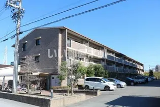 グロリアスSTの画像