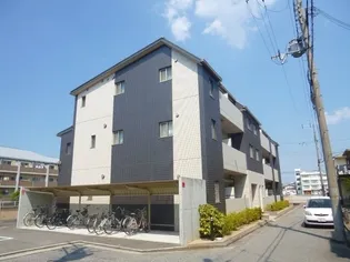 SHELL POOL Vの画像