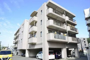 ドミール アンの画像