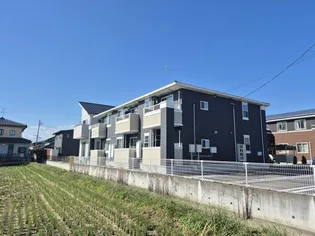 プラシードIIIの画像