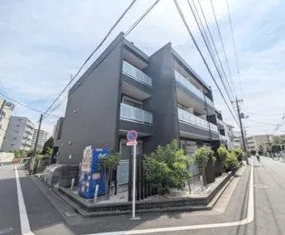 RAY HILLSの画像