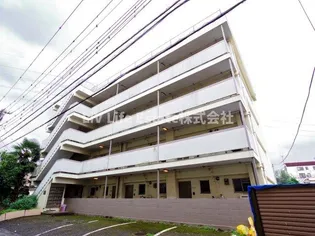 柳沢ハイムの画像