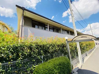 セカンドジュネスの画像