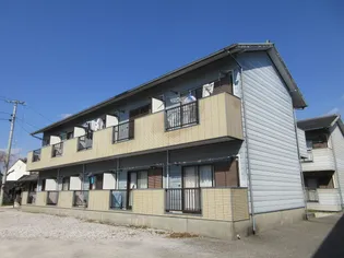 ハイツラベンダーの画像