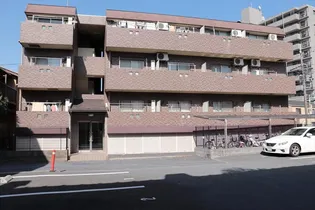 プラシードの画像