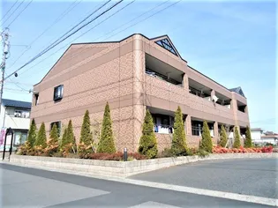 エル アールの森の画像