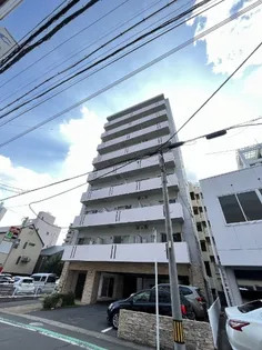 アミティ桜の画像