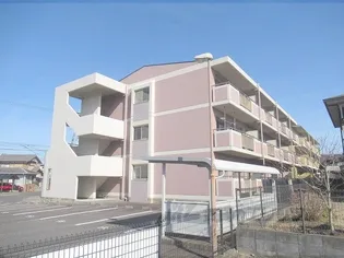 プルミエルの画像