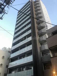 メインステージ錦糸町VIIラピスの画像