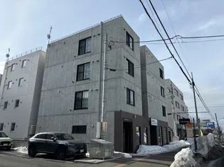 SEA THE STARSの画像