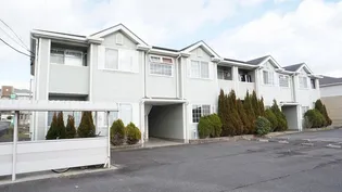 ピュアフォレストの画像