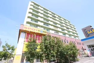 豊平アシュウの画像