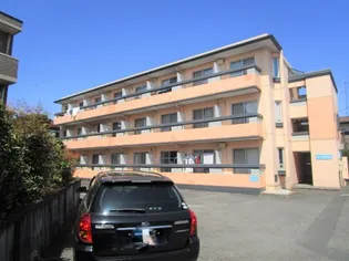 神奈川県相模原市南区文京1【マンション】の外観