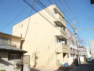 PUNAHELEの画像