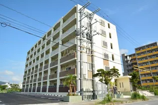フォレスト ウモサの画像