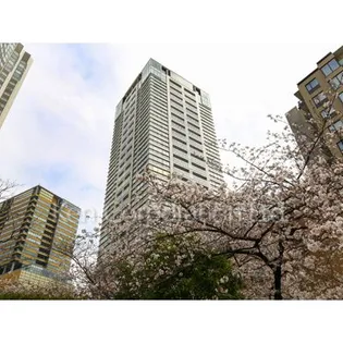SAION SAKURAZAKAの画像