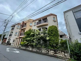 ハミングバードの画像