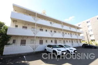 カレッジハイツ住吉【3階】の外観