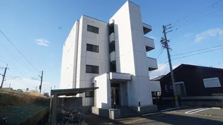 シャルマンIIの画像