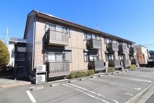 シャルマンの画像