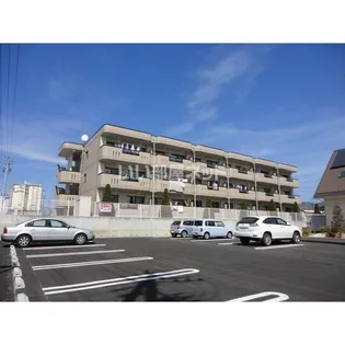 ロイヤルオークの画像