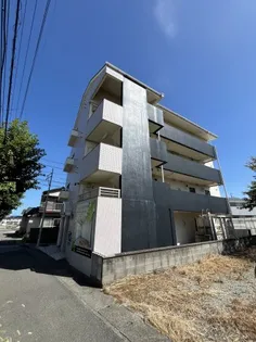 パレス南沖洲【4階】の外観