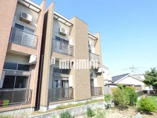 メドラーウエストの画像