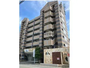 ピソ子飼の画像