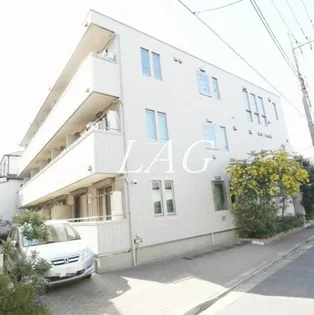 フィカーサ いちょうの木の画像