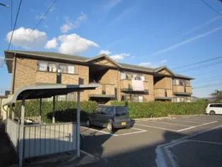 サンフローラIIの画像