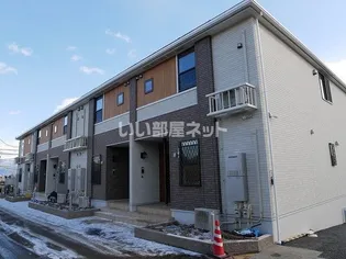 ルピナスの画像