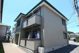 フローラルCの画像