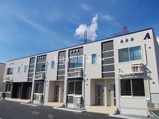 アムールAの画像