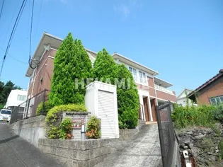 カンフォタブルの画像