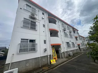 第二フジハイツの画像
