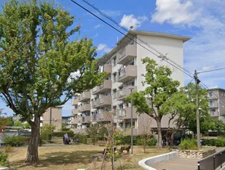 白鷺B10号棟【5階】の外観
