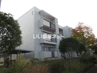 グランドヒルズ桔梗が丘1号棟の画像