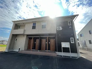 エテルノフィオーレAの画像