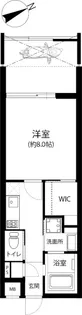 アクシオン大橋ルミナス【1階】の間取り