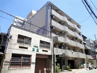 井筒ハイム【4階】の外観