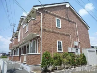 エヴァーグリーンの画像